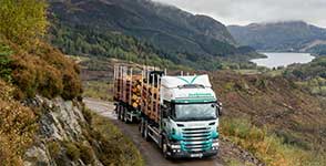 AWJ Skeletal Timber Wagon